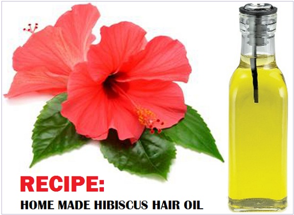 Homemade Hibiscus Hair Oil Recipe And Benefits Of This Oil For Hair