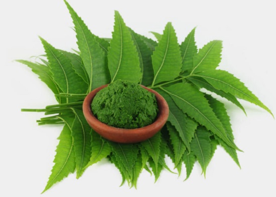 neem face packs recipes 3