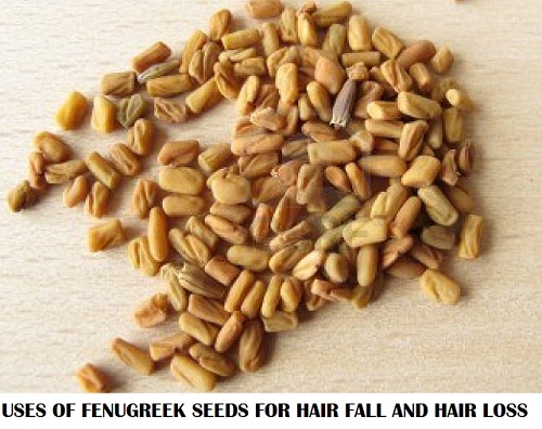 fenugreek seeds uses for hair fall