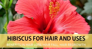 Hibiscus for Hair Uses, Benefits