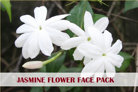 Jasmine flower face packs for fairness