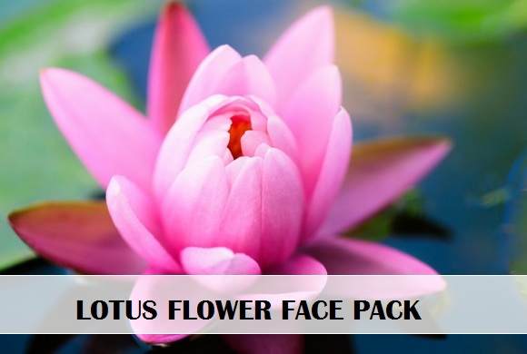 Lotus flower face packs