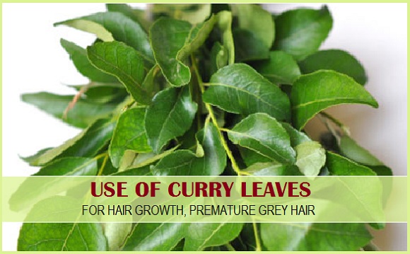 Use of curry leaves for hair growth grey hair