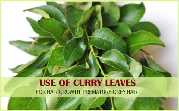 4 ways to get voluminous hair with curry leaves  HealthShots