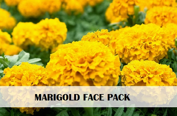 marigold flower face packs