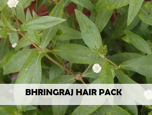 ayurvedic hair packs bhringraj
