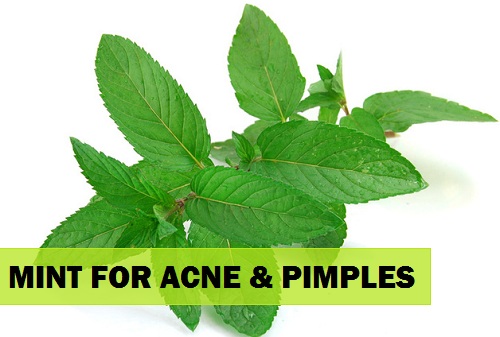 natural remedies for acne and pimples at home cure MINT leaves