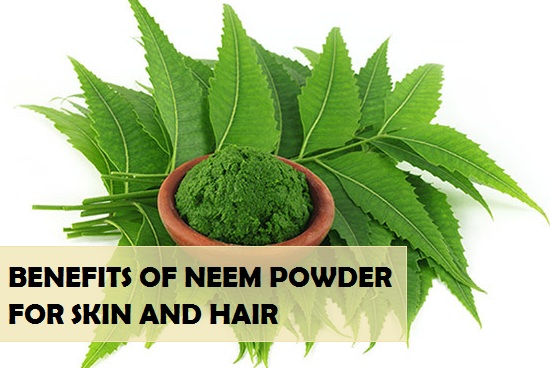 Benefits and Uses of Neem Powder for Skin and Hair
