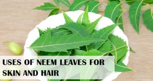 Neem Leaves uses for Skin, Hair, Scalp, Body care