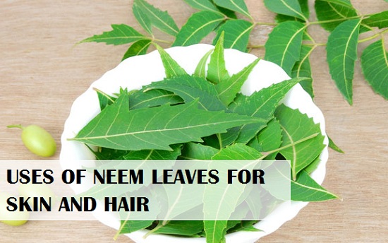 Neem Leaves uses for Skin, Hair, Scalp, Body care