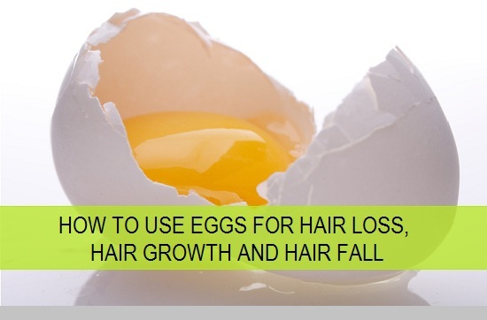 How To Use Eggs For Hair Growth Hair Loss And Hair Fall In Men And Women