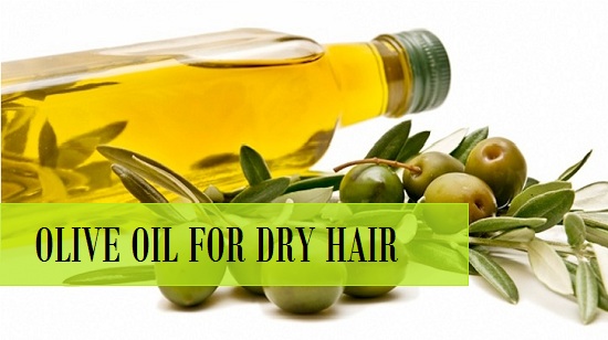 How to use olive oil for dry hair treatment