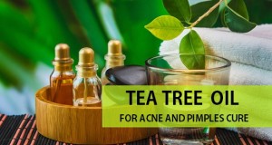 how to use tea tree oil for pimple cure and acne marks