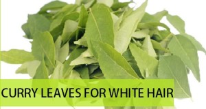 How to use Curry Leaves for White hair: Recipes and Benefits