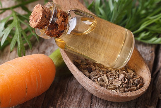 Essential Oils to heal the scars carrot seed oil