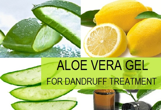 How To Use Aloe Vera Gel For Dandruff Treatment And Cure how to use aloe vera gel for dandruff