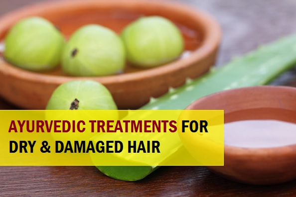 Ayurvedic Hair treatments for Rough and Dry hair