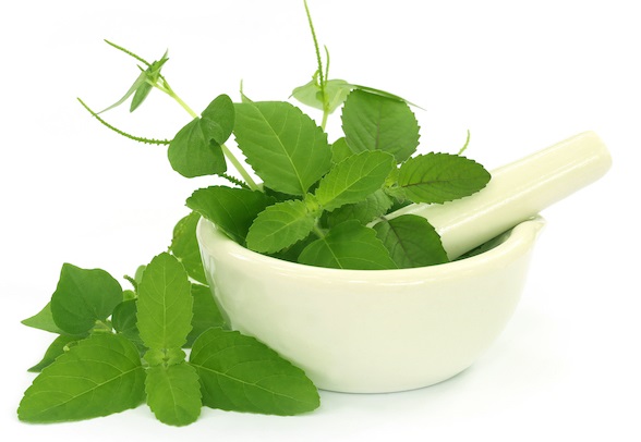 Remedies with Tulsi to Treat Pimples and Acne 4