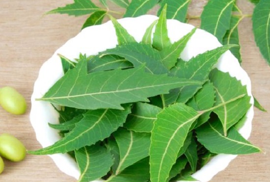 neem face packs recipes 2