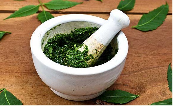 Neem Leaves and Powder for Dandruff, Hair Growth and Baldness