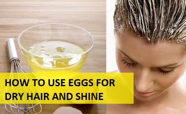 how to use eggs for dry hair