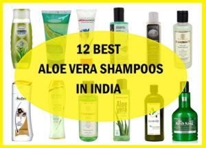 Top 12 Best Aloe Vera Shampoos in India with Reviews and price