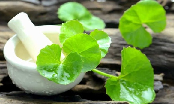 brahmi for hair loss