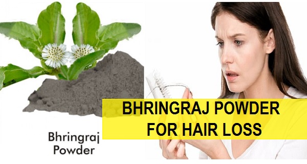 How to Use Bhringraj Powder For Hair Loss And Growth: (Uses and Application)