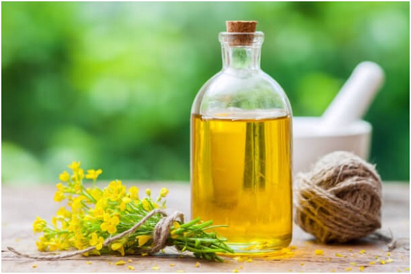 canola oil for cooking