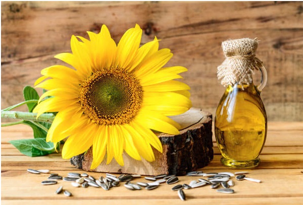 sunflower oil for cooking