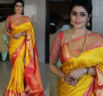 Elbow Length Pattu Saree Blouse Design