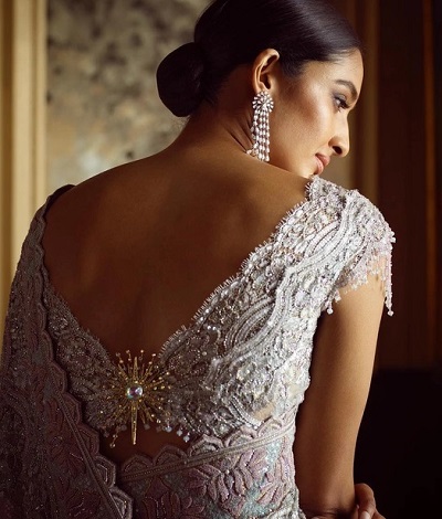 Lace fabric elegent Designer saree blouse design