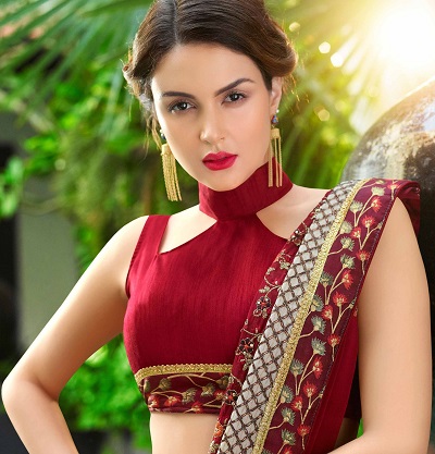 High collar saree blouse on sale designs