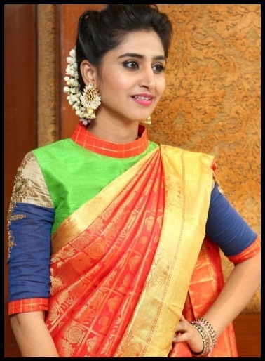 Multicolor Saree Blouse Designs