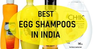 best egg shampoos in india