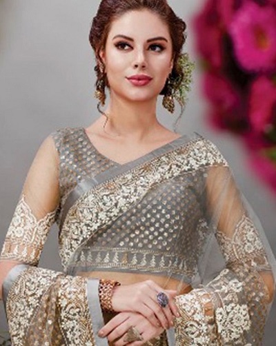 Brocade and net saree blouse pattern