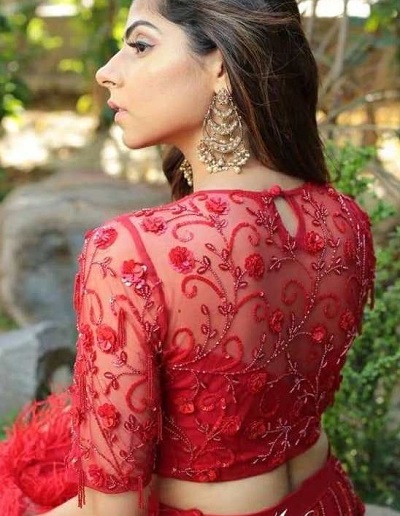 Red embroidered net saree and lehenga blouse design