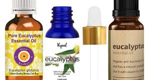 Best Eucalyptus Essential Oils in India
