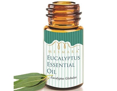 Mesmara 100% Pure Natural and Undiluted Eucalyptus Essential Oil