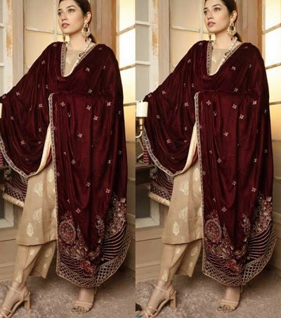 Designer red embroidered velvet Dupatta with golden suit