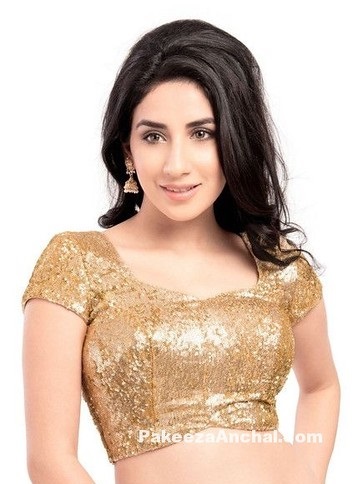 Shimmer fabric Golden blouse design