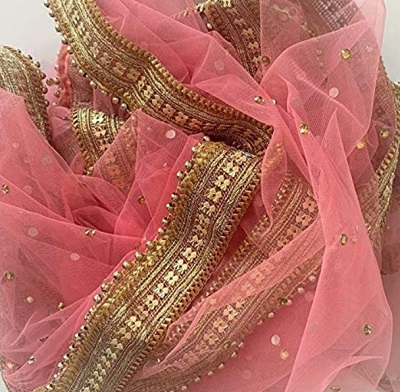 Carrot pink net Dupatta with border and beadwork