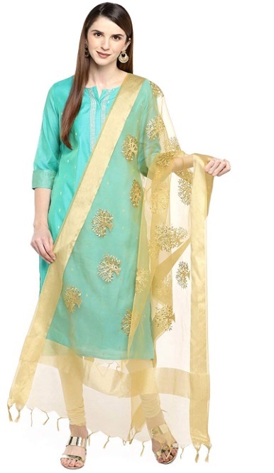 Stylish netted partywear dupatta design