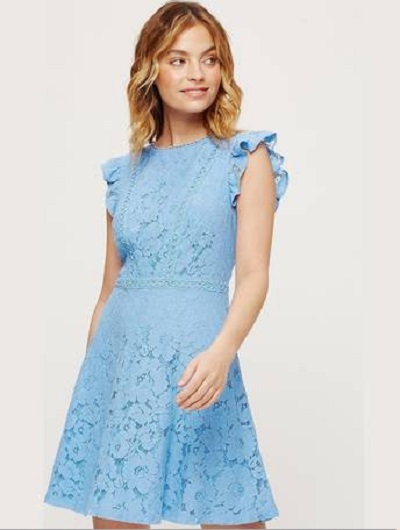 Ruffled sleeves simple lace dress