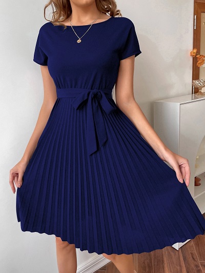 Accordion Pleat A Line Dress With Short Sleeves