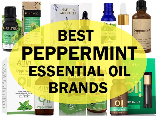 best peppermint essential oil brands in india