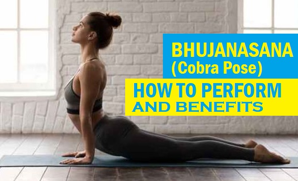 Bhujangasana Or Cobra Stretch, How to Perform, Benefits and Precautions