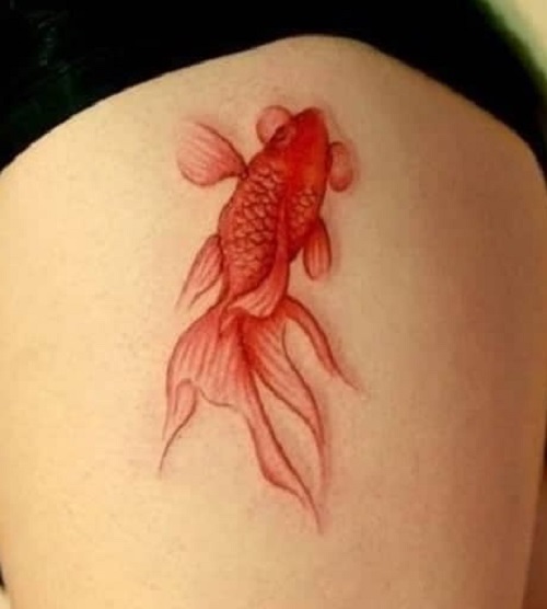 Delicate Gold Fish Tattoo