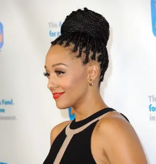 Sleek Top Knotted Box Braid hairstyle