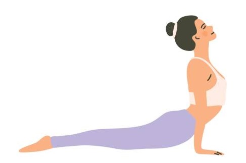 bhujanasana cobra pos